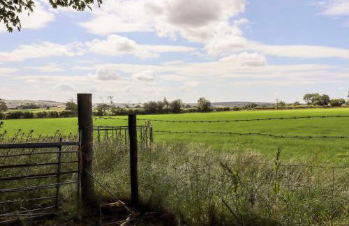 Washburn Lodge - Photo 26