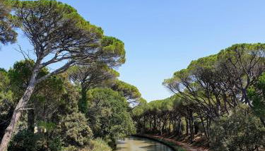 Studio bateau au Somail - Foto 4