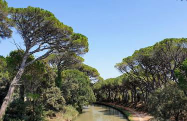 Studio bateau au Somail - Foto 4