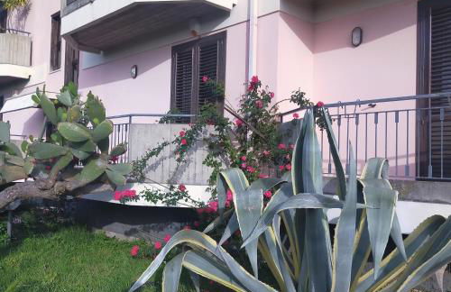 aranceto dell'Etna - Foto 12