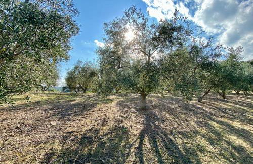 Domaine Punta della Guardia villa panorama maquis et mer, plage à 1,5 Km - Foto 24