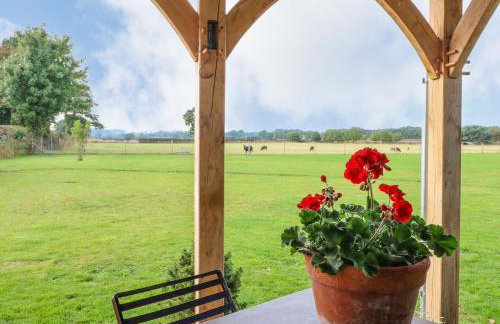 The Jenny Wrennery - Foto 15