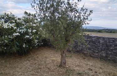 Gite la Picholine_Bourg Saint Andéol - Foto 45