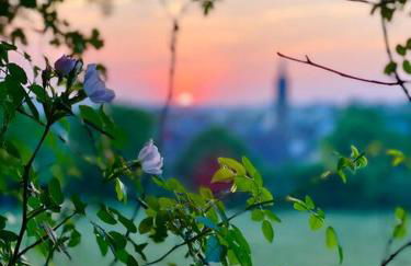 Les Maisons d'Auré - Foto 12