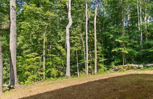 Secluded 3BR Cabin Lake Access & Resort Perks - Foto 34