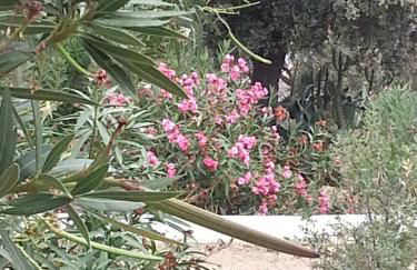 Finca La Rinconada - Foto 35