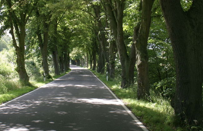 Holiday Apartment Nature View - Foto 15