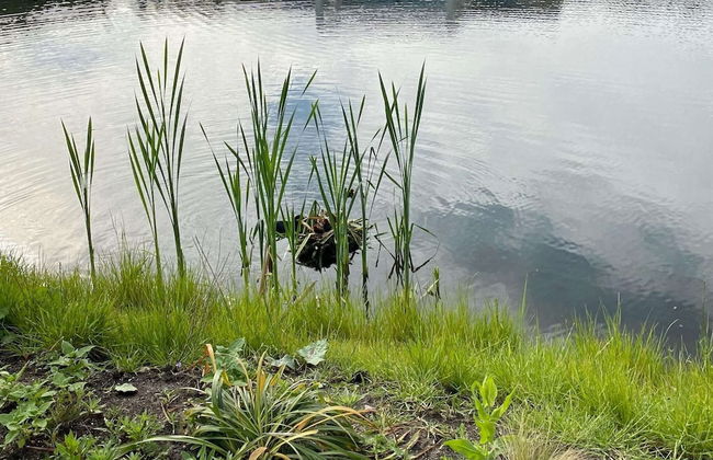 Majestic Villa in Zeewolde With Garden - Foto 41