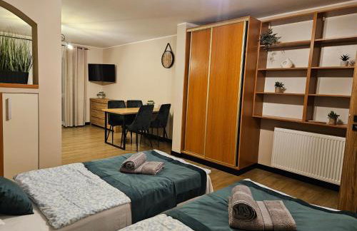 Virgo Apartments & Rooms Koleczkowo - Foto 27