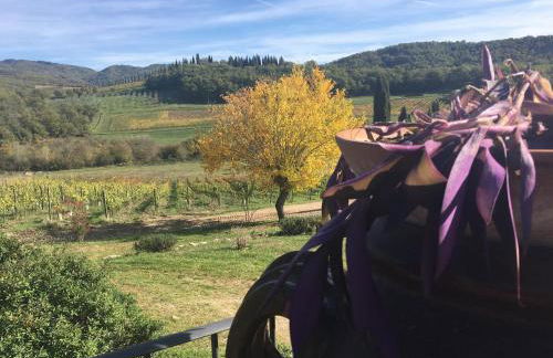 Podere Terreno alla Via della Volpaia - Foto 87