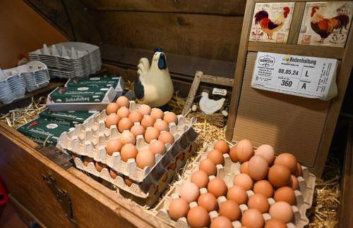 Tiny House Pioneer 2 - Salemer See - Foto 25