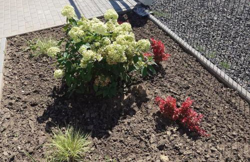 Bukowska House - Foto 32