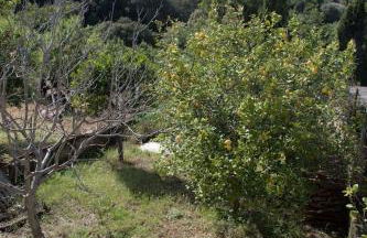 Ca na Mora - Foto 47