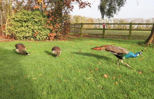 The Granary - Foto 66