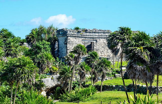 Magisches Abenteuer nach Tulum, einer riesigen Skulptur und Cenoten. Mittagessen inbegriffen - Foto 6