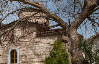 Villa Kastania - Foto 38