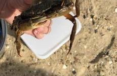 DaisyChain Getaways The perfect place to Stay Play and Getaway - Foto 74