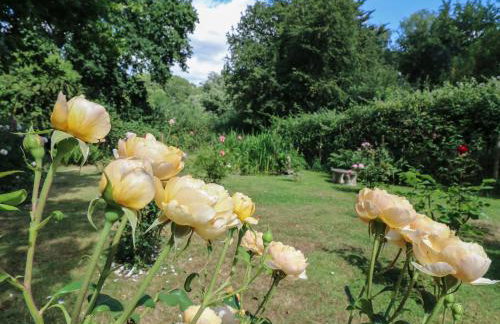 Curry Farm - Foto 32