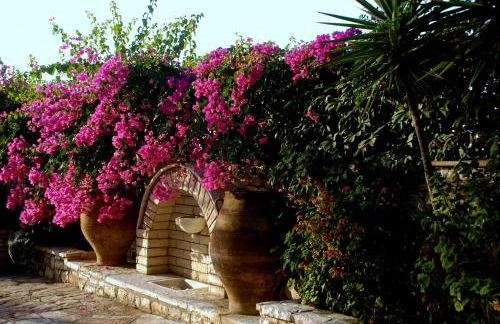 Villa Petra - Foto 10