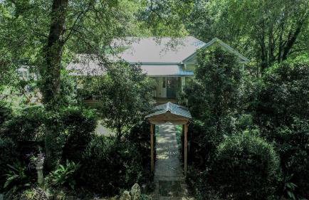 Firefly Garden - Foto 43