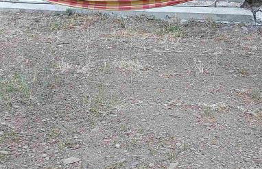 Ακροδεα - Photo 26