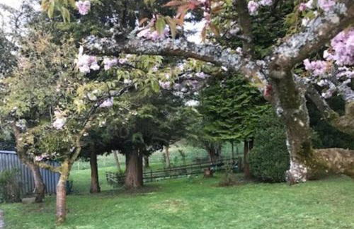 Historic 17th century farmhouse in Wales - Foto 13