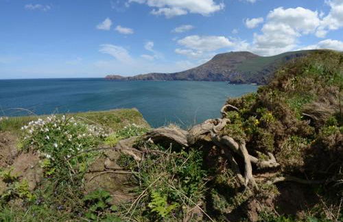 Golwgfor (Sea View) by Aberporth Beach Holidays - Foto 25