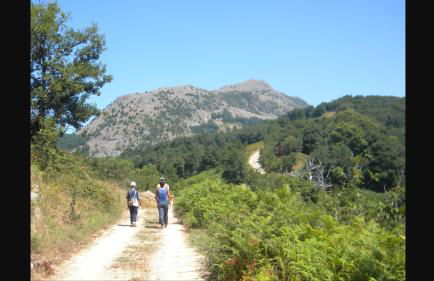 Stella d'Aurora waterview - Foto 43