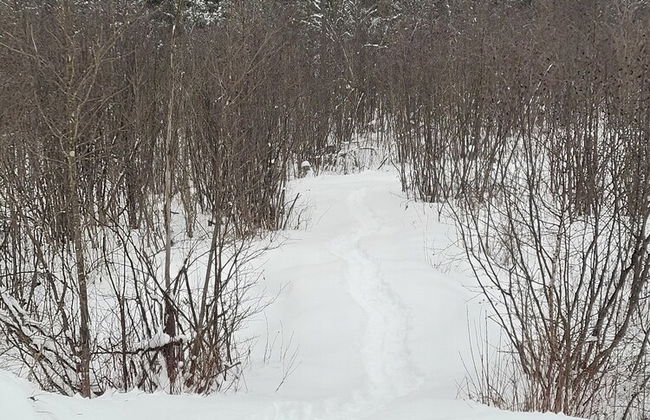 Stunning 2-bed House - Photo 16