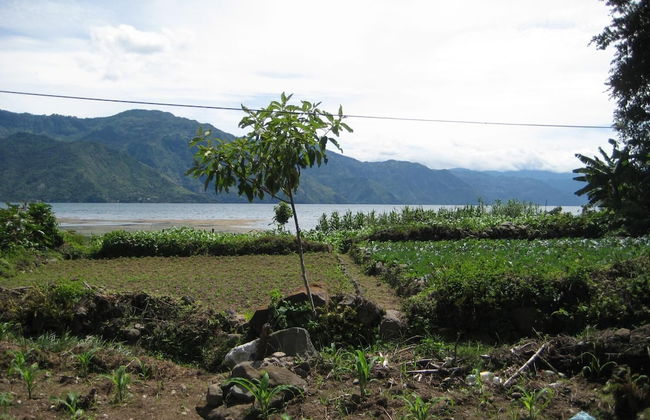 Tzikin Jaay - Foto 19