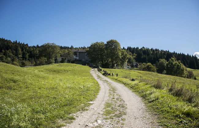 Casa Camilla Holiday - Photo 51