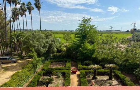 Hacienda Don Rodrigo - Foto 21