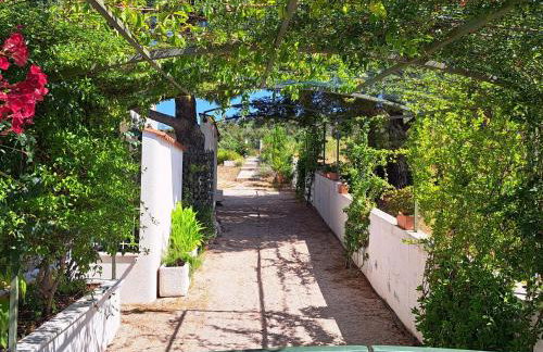 Holiday home Voga - Photo 41