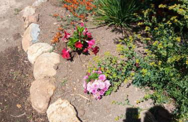 Casa de Celebrar a Vida - Foto 44