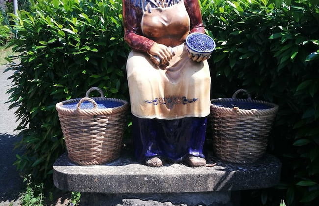 Ferienwohnung Kiefer - Foto 16