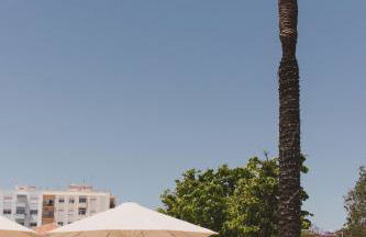 As Andorinhas - Foto 29