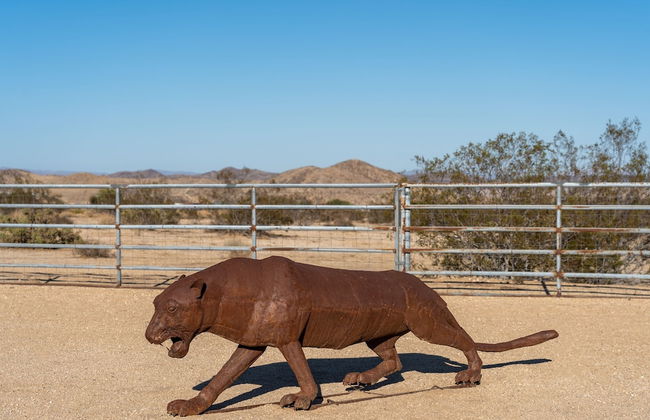 Sunflower 1mi From JT New Pool Game Room - Photo 41