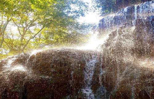 Villa Castro - Photo 61