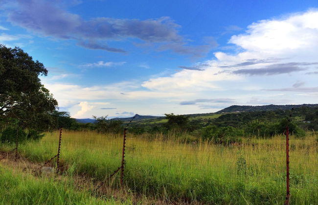 Near2Numbi - Foto 72