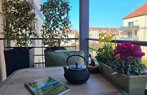 Gîte Forestier - T2 Cosy avec Terrasse & 2 Parkings privatifs -Centre ville - Foto 13