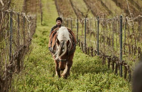 Agriturismo Gli Archi - Foto 19