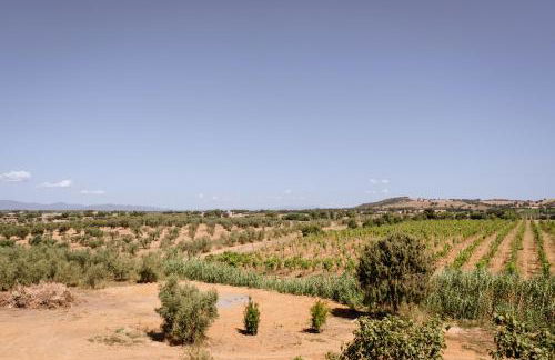 Villa Podere 109 - BioWine - Foto 14