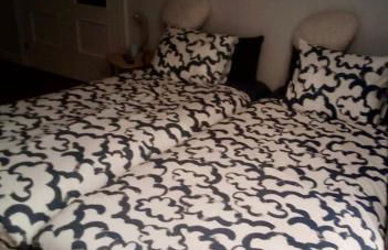 Marismas de Cantabria cerca de Laredo - Foto 51