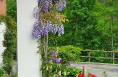 La Betulla - Foto 24