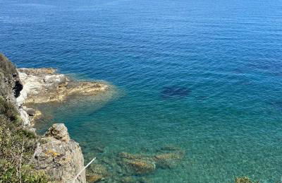 Berenice - Isola D'Elba Apartments - Foto 41