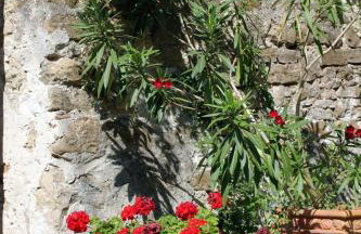 Apartments with WiFi Groznjan, Central Istria - Sredisnja Istra - 7038 - Foto 13