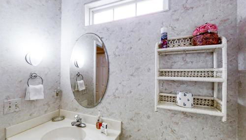 Scotch Broom E-104 - Foto 5