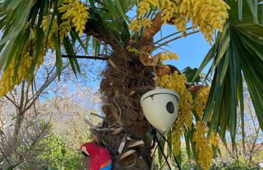 Gites le Pimayon - Foto 41