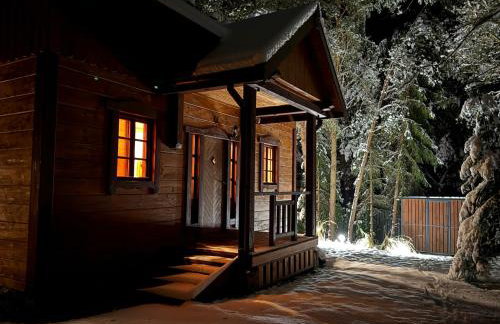 Przytulisko - Dom na Mazurach - Foto 4