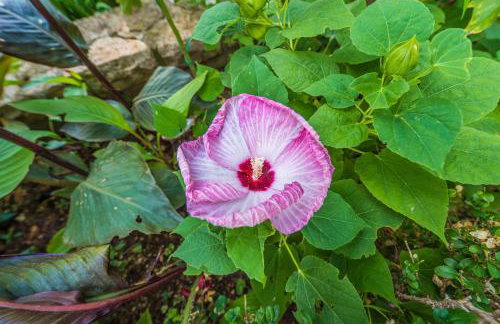 Villa Emilia - Photo 32